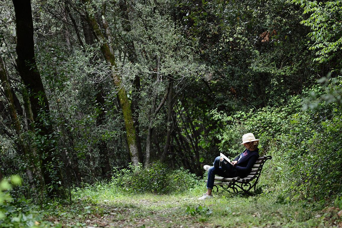 Can Barrina Montseny Kültér fotó